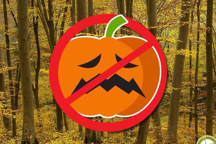 A halloweeni tök nem való a természetbe!