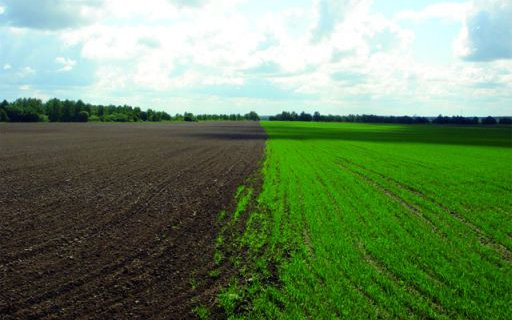 Jogszabályváltozások - Májustól bűncselekmény a zsebszerződés megkötése