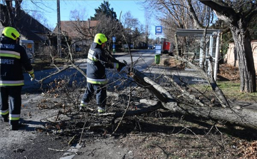 Letört faágak, kidőlt fák miatt kérték a tűzoltók segítségét