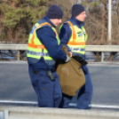 RENDŐRÖK MENTETTÉK MEG A KUTYÁT