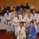 Nemzetközi Faragó Benjamin judo-rangsorverseny Tatabányán 